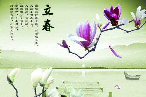 華全發(fā)電機(jī)組：立春了！最美祝福送給最珍的朋友
