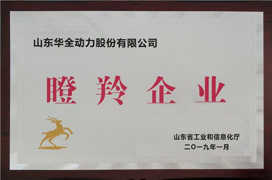 新春將至，喜報頻傳！華全集團(tuán)被認(rèn)定為山東省瞪羚企業(yè)！